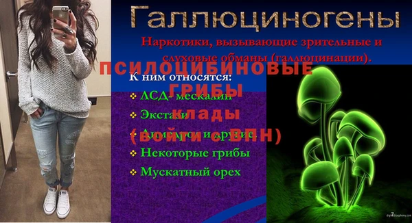 mdpv Козловка