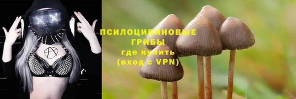 mdpv Козловка