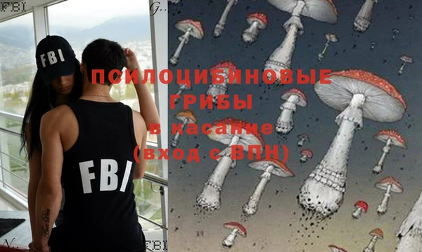 метадон Кодинск