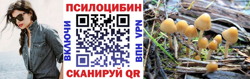 Галлюциногенные грибы Cubensis  Кедровый 